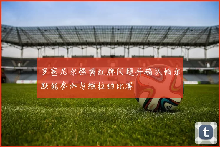 罗塞尼尔强调红牌问题并确认帕尔默能参加与维拉的比赛